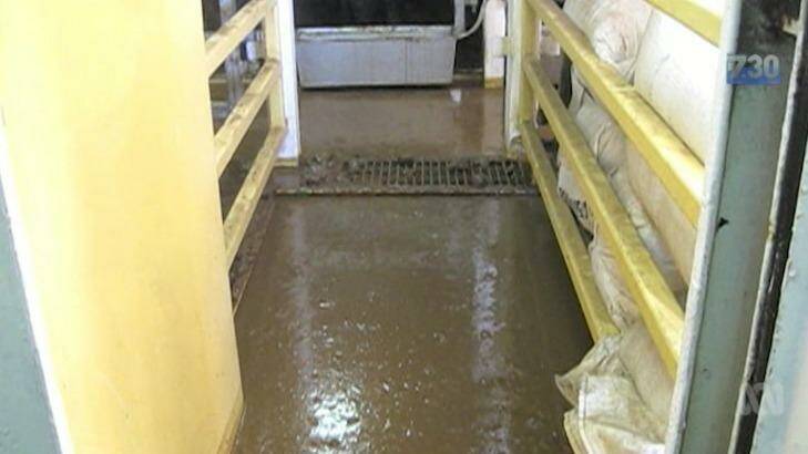 Footage on 7.30 showed floors centimetres-thick with excrement. Photo: ABC/7.30