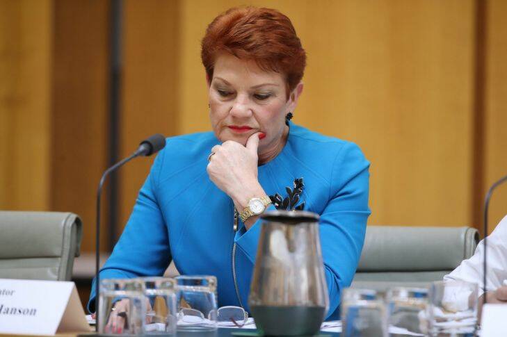 Senator Pauline Hanson during Budget Estimates at Parliament House in Canberra on Tuesday 30 May 2017. Photo: Andrew Meares 