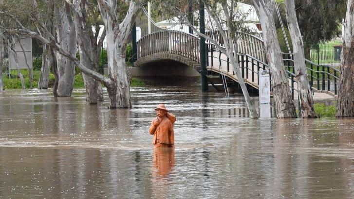 Parkland on the edge of the Avoca River, as the flood waters rose at Charlton on Friday. Photo: Joe Armao