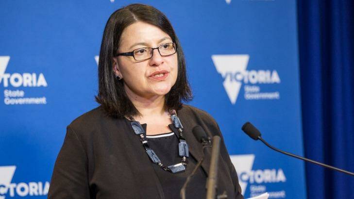 Victorian Minister for Family and Children Jenny Mikakos. Photo: Mathew Lynn