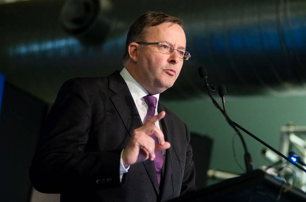 Labor frontbencher Anthony Albanese will become the party's cities spokesman. Photo: Luis Enrique Ascui