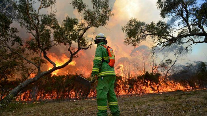 A controlled burn at Warnett on Western Port Bay. Photo: Justin McManus 