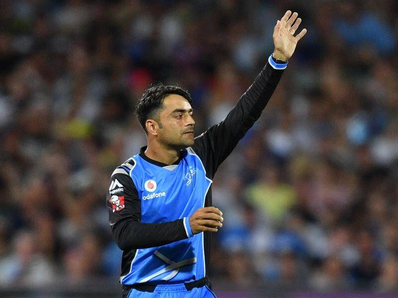 Adelaide Strikers spinner Rashid Khan is set for a key role in the Melbourne Renegades BBL semi.