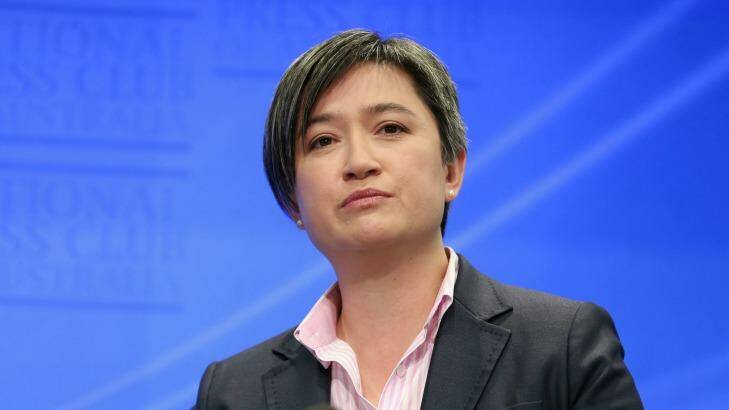 Senator Wong argued that Australia had "nothing to fear" from letting same-sex couples marry.  Photo: Alex Ellinghausen