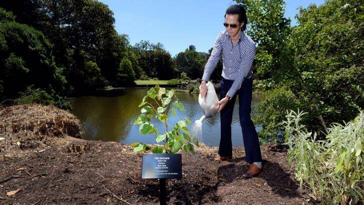 Nick Cave at the Royal Botanic Gardens. He planted a lime tree named in his honour.  Photo: Penny Stephens