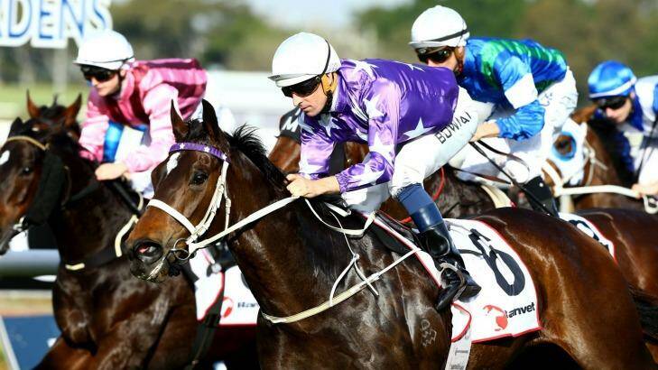 Avonaco is likely to be the main danger in race 5. Photo: bradleyphotos.com.au