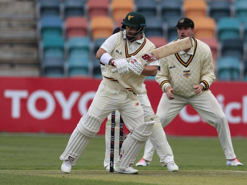A dogged Matthew Wade century has placed Tasmania in a strong position.