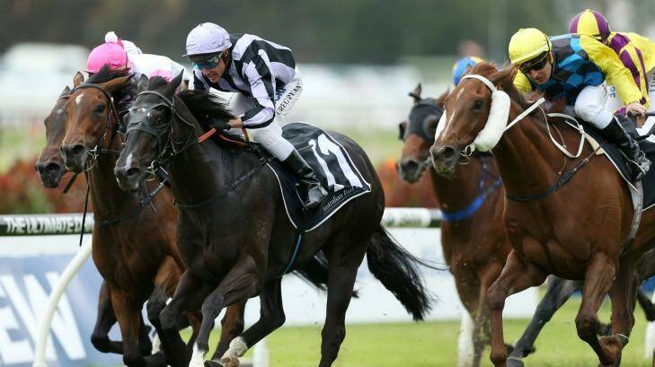 Another one in the bag: Greg Ryan rides Alart to victory at Rosehill in 2015. Photo: bradleyphotos.com.au