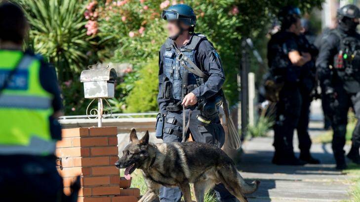 A policeman and dog at the address in St Albans. Photo: Penny Stephens