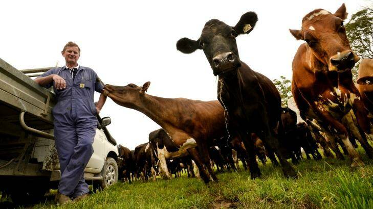 Dairy farmer John Versteden. Photo: Justin McManus JZM