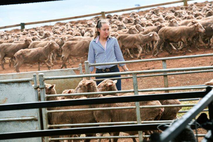 Katherine Bain will run the family Merino sheep farm in Stockyard Hill near Ballarat. 20th December 2017. The Age Fairfaxmedia News Picture by JOE ARMAO