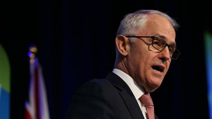 Prime Minister Malcolm Turnbull has railed against the Queensland Labor text messages. Photo: Louise Kennerley