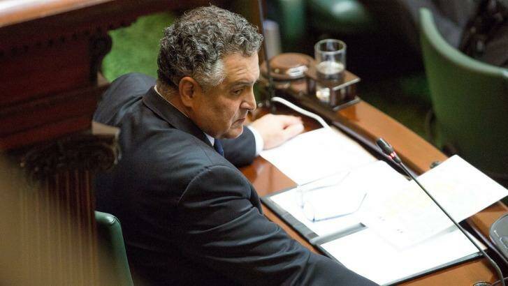 Lower House speaker Telmo Languiller on Thursday.  Photo: Stefan Postles