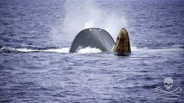 The sinking ship Thunder Photo: Sea Shepherd.