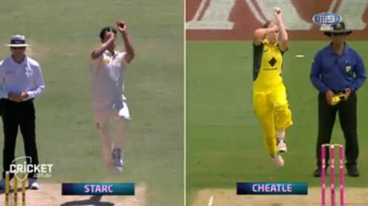 Uncanny: Lauren Cheatle's action is similar to Mitchell Starc's. Photo: cricket.com.au