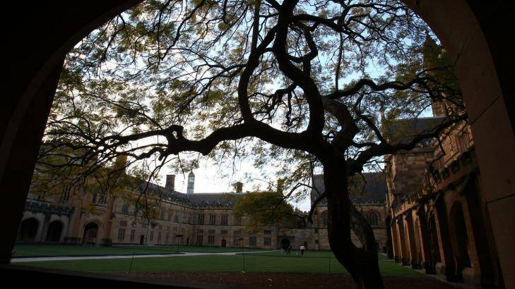 Main quadrangle at Sydney University.
 Photo: Anthony Johnson