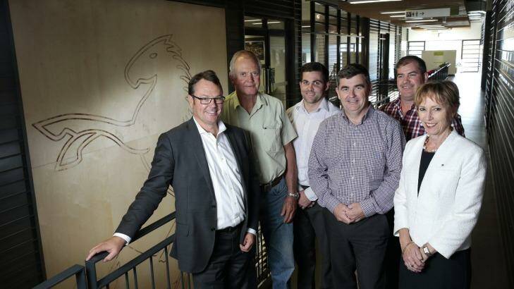 There could be changes to the Brumbies board at the annual general meeting on December 16. Photo: Jeffrey Chan