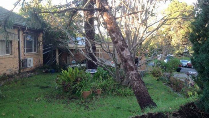 A fallen tree in Malvern after Sundays storms. Worse is to come on Tuesday, forecasters say. Photo: Malvern SES/Facebook