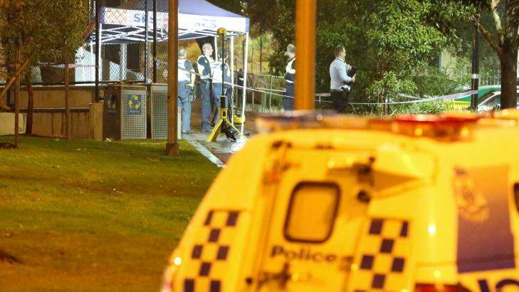 The shooting took place at the public housing estate on Drummond Street, Carlton. Photo: Patrick Herve