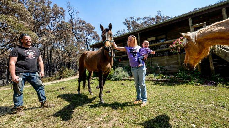 A happy Verne Glenwright with partner Alicia Keenan and daughter Shea and horses. Their home and horses were very lucky to survive when the fire surrounded their property on Musk Gully Road. Photo: Justin McManus