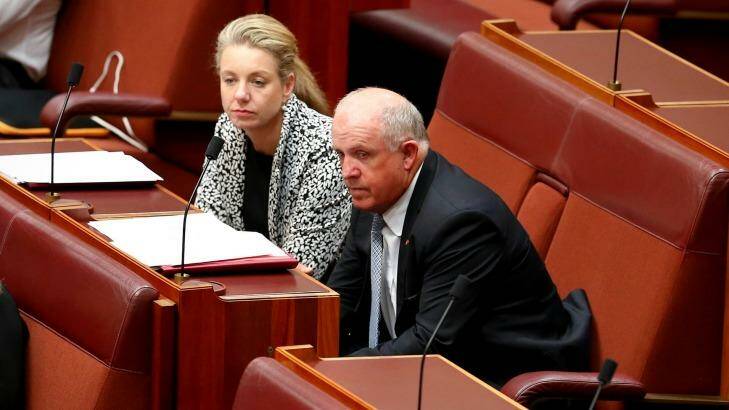 Senators Bridget McKenzie and John Williams in the Senate on Monday. Photo: Alex Ellinghausen