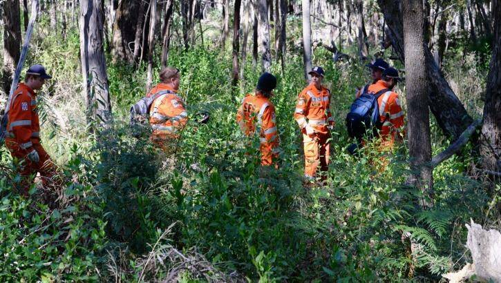 SES volunteers slowly walk through bush at the start of their line search in Macedon. Photo: Justin McManus