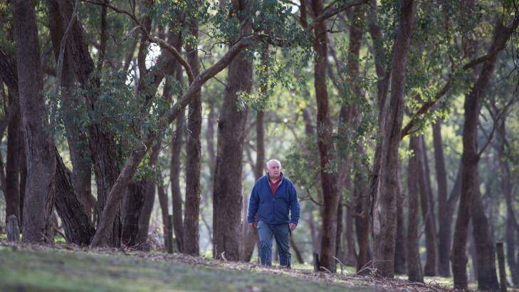 Max Parsons, from Kangaroo Ground, fears the new environmental laws will devalue his property.  Photo: Jason South