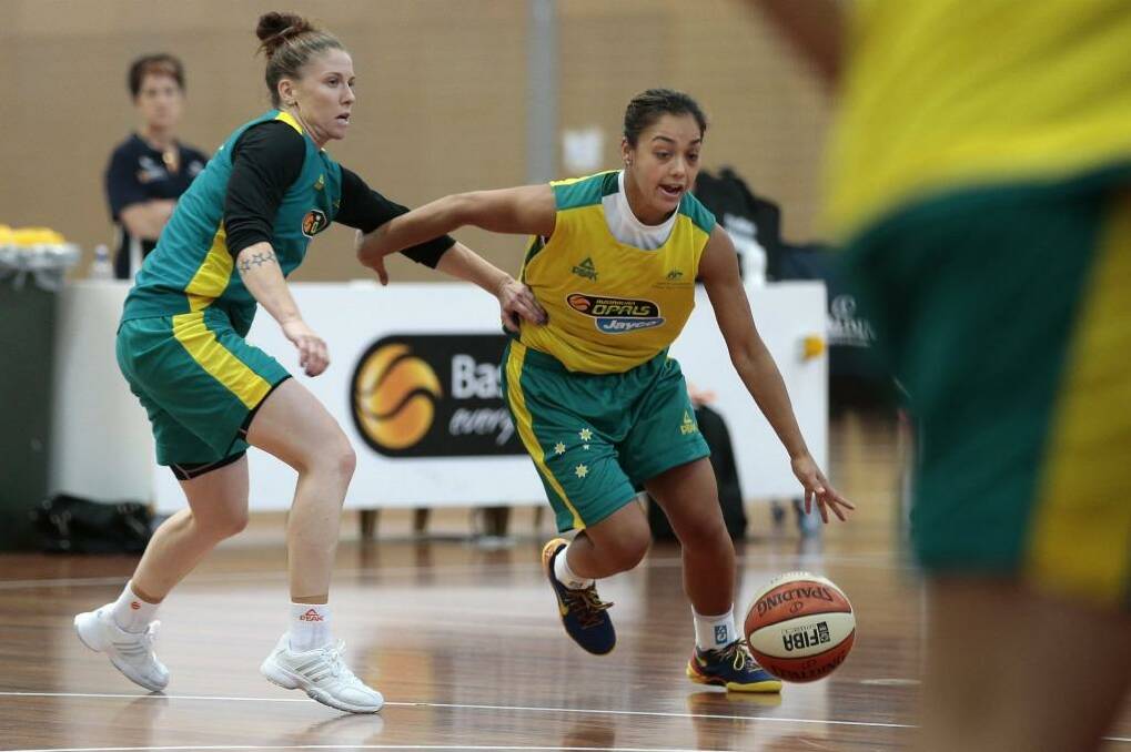 Natalie Hurst takes on Leilani Mitchell during an Australian Opals training camp at the AIS in January. Photo: Jeffrey Chan