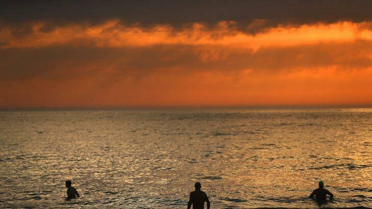 Warmest: Ocean surface temperatures were at a record high in 2014. Photo: Kate Geraghty