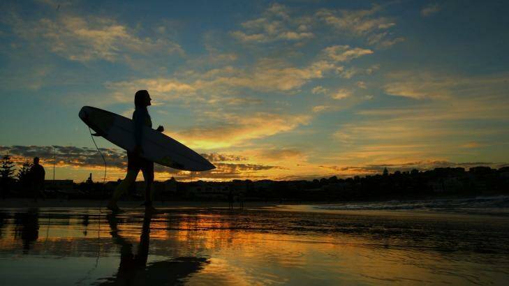 A surfer heads out at Sydney's Bondi
Beach early on Wednesday. It will be a
lot colder out there next week. Photo: Kate Geraghty