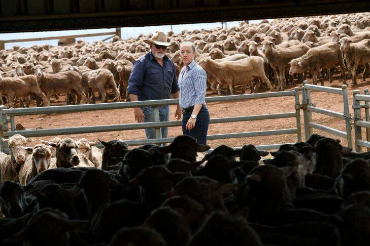 David Bain with his daughter Katherine. Katherine will run the family Merino sheep farm in Stockyard Hill near Ballarat. 20th December 2017. The Age Fairfaxmedia News Picture by JOE ARMAO