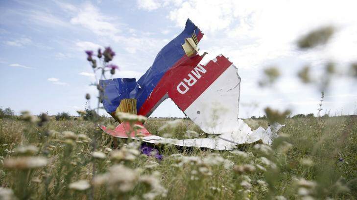Part of the wreckage of Malaysia Airlines Flight MH17. Photo: Reuters