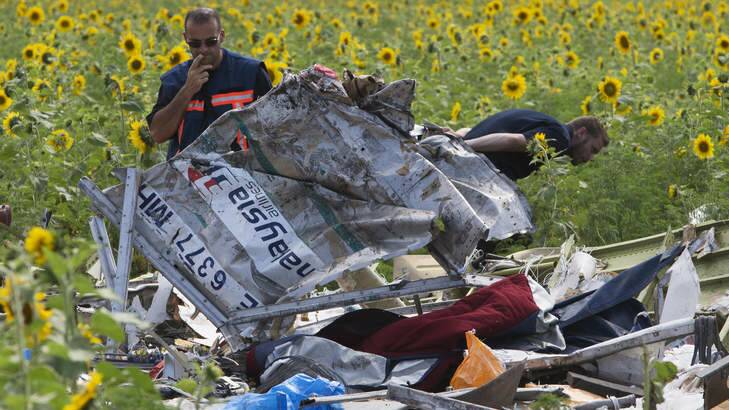 Foreign fields: Parts of Malaysia Arlines flight MH17 are inspected by Dutch investigators near the village of Grabovka. Photo: AP/Dmitry Lovetsky