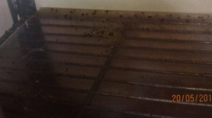 Mouse droppings in dry storage shelving at Red Emperor, as pictured in photographs shown to the court. Photo: Supplied