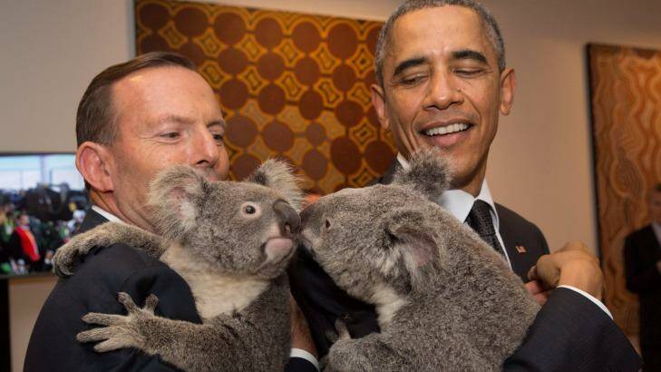 Then-prime minister Tony Abbott and US President Barack Obama cuddled koalas at the G20 in Brisbane. Photo: Andrew Taylor 