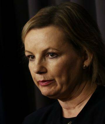 Health Minister Sussan Ley has a lot on her plate. Photo: Andrew Meares