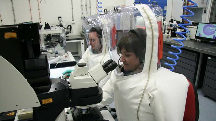 Research scientists Glenn Marsh and Andrea Certoma at work.