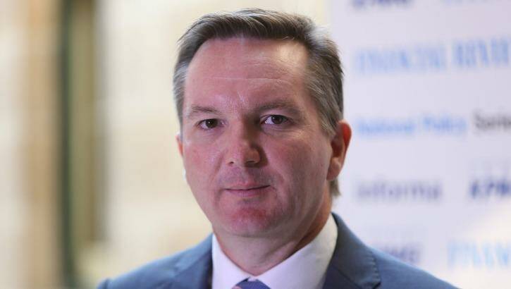 Shadow treasurer Chris Bowen attacked the government's education funding plan. Photo: Louise Kennerley