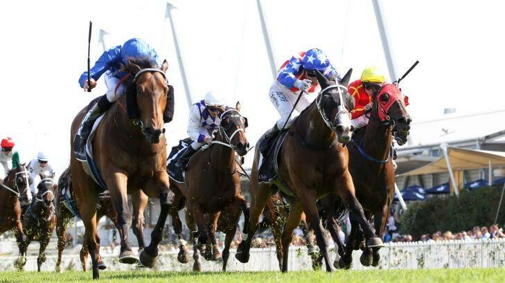 Villiers bound: Malice wins the ATC Cup at Rosehill on Saturday. Photo: bradleyphotos.com.au