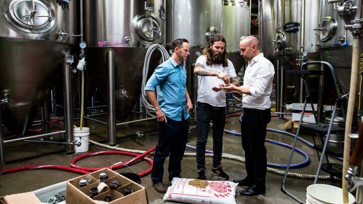 Solar energy specialist Jake Steele, Young Henrys co-owner Oscar McMahon and Tom Nockolds from Pingala have the answer to "renewable" beer. Photo: Edwina Pickles