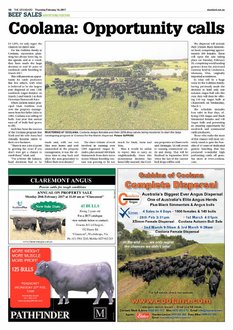 Beef Sales | Feature