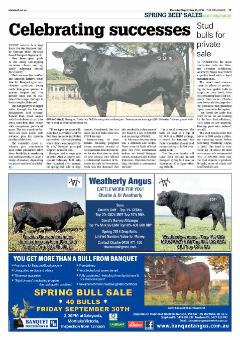 Spring beef sales | Feature