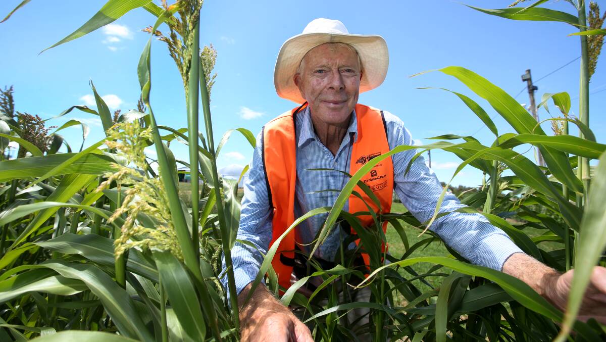 READY FOR SUNGOLD: Sungold Field Days chairman Tony Rea is hoping for good weather and great crowds for the 2017 event