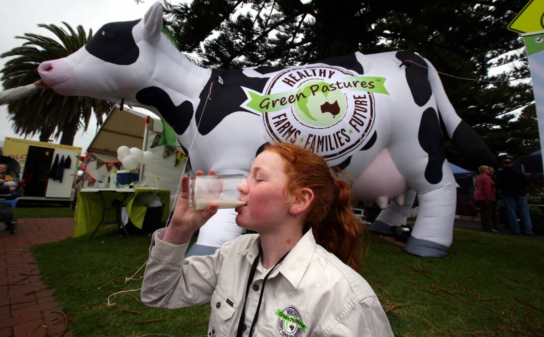 Chloe Davis, of Cobden, has a glass of milk in front of a blow-up cow from the Green Pastures Movement store.
