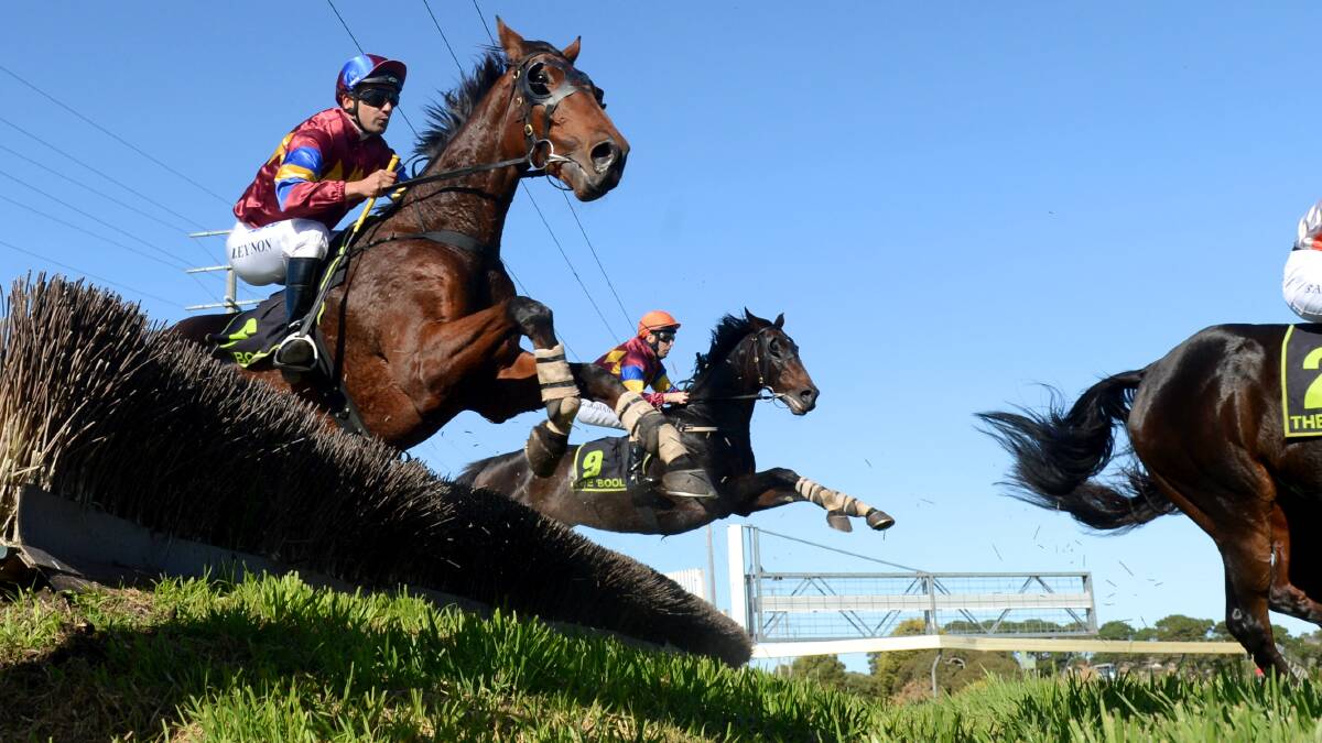 Some of the action from last year's Grand Annual Steeplechase - the feature of the May Racing Carnival. Picture: FAIRFAX