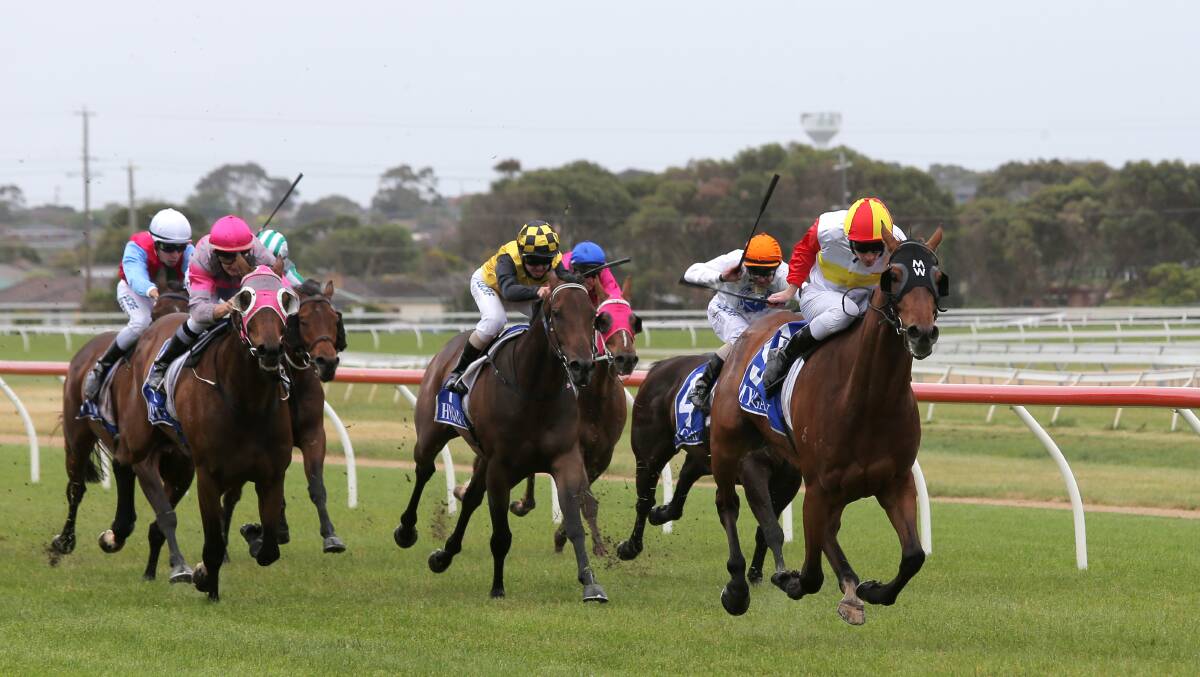 Artie’s Shore, ridden by Jamie Mott, leads the field home on his way to taking out race six at Warrnambool yesterday.
