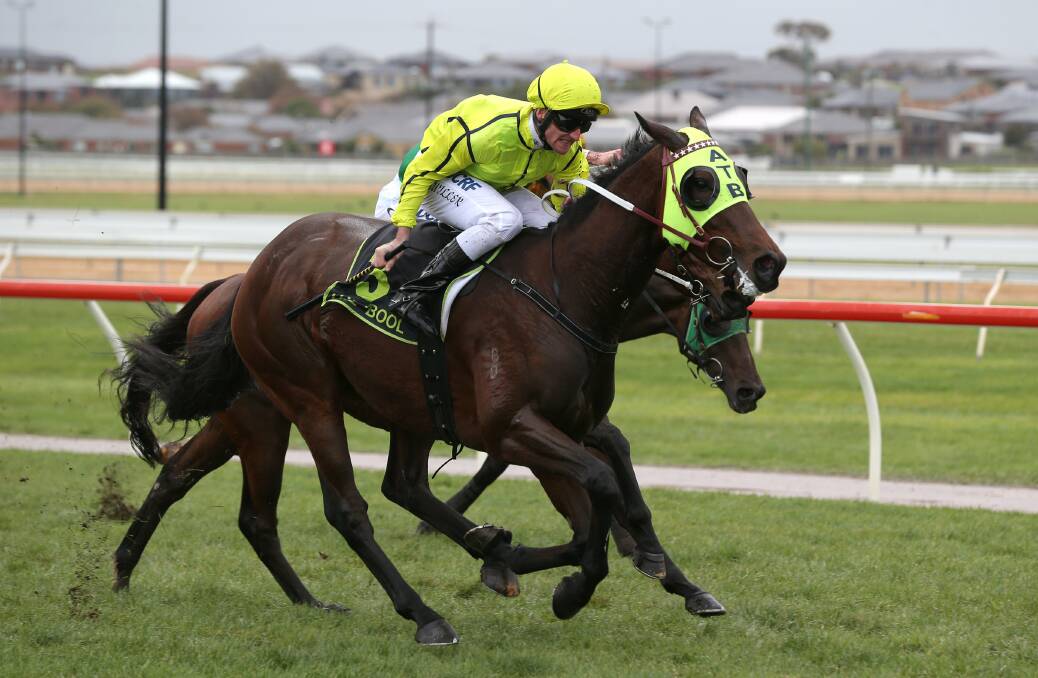 Falago, ridden by Brad Rawiller and trained by Darren Weir, clings on to win the Neville Wilson Series final (1700m).
