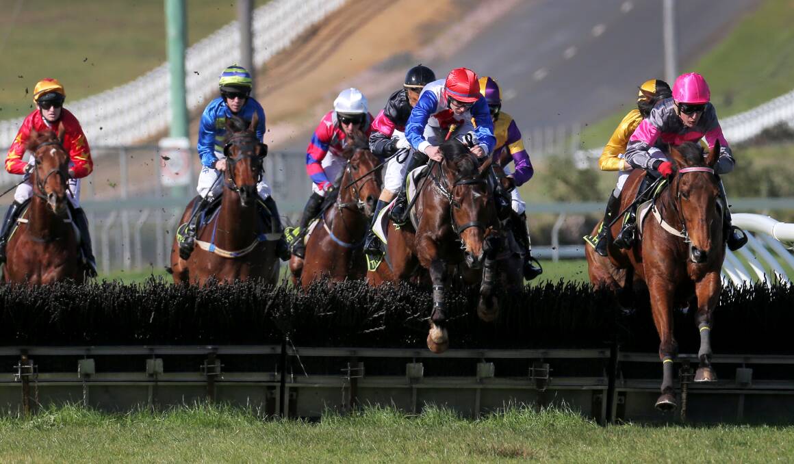 Hissing Sid (right), with Shane Jackson on board, leads the field early in the $50,000 Rookie Jumpers series final at Warrnambool yesterday, but it was Thubiaan (centre) piloted by Martin Kelly in the red cap, who greeted the judge first.