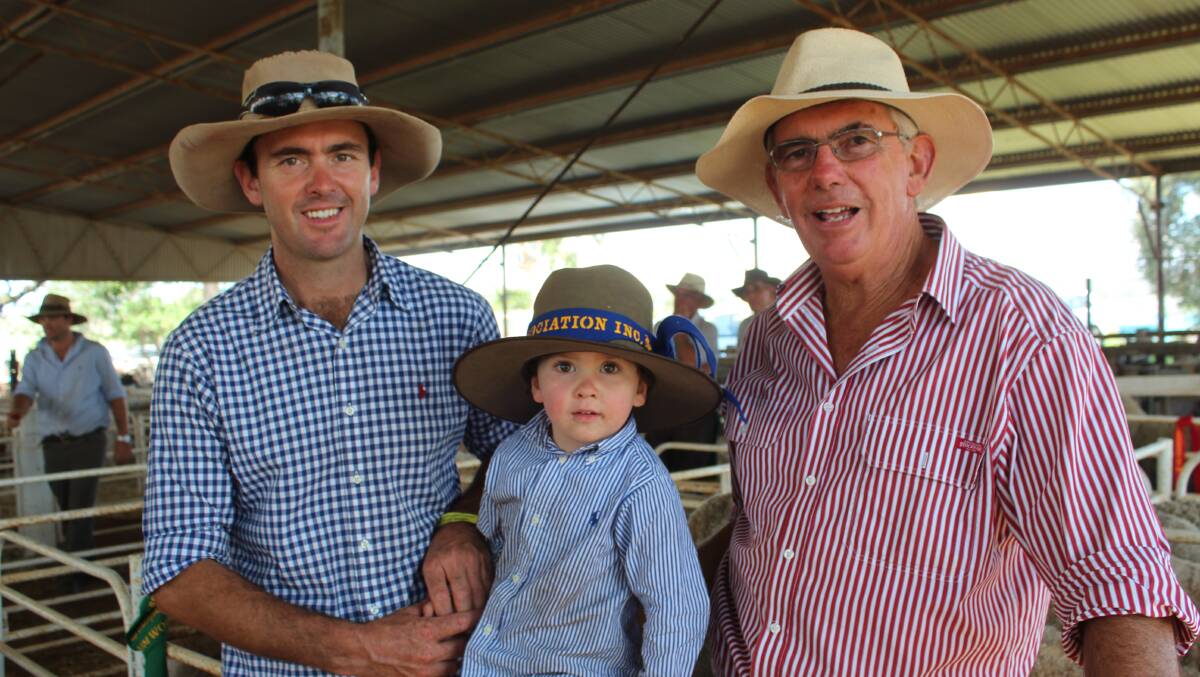 Pemcaw Merino and Poll Merino Stud has been in the Armstrong family for three generations. Pictured are Henry, Harry and Lou Armstrong at the 2014 Dunedoo Show.