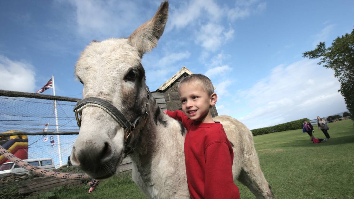 Bailey Sarris, 5, from Melbourne get up close and personal with a Donkey at Flagstaff Hill. Picture: AARON SAWALL
